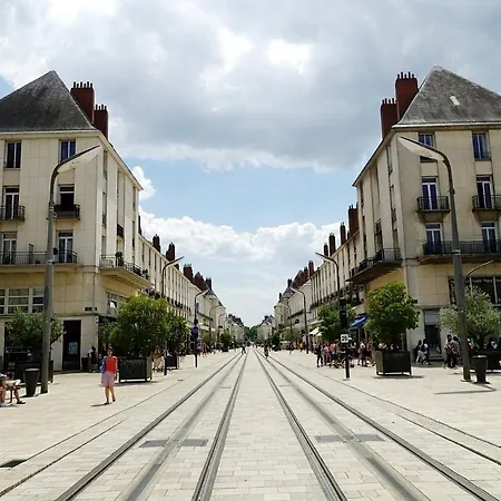 Fougere